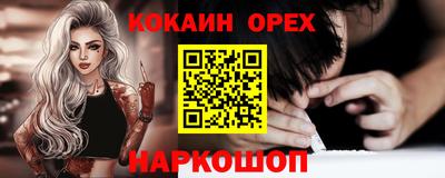 крисы Можга