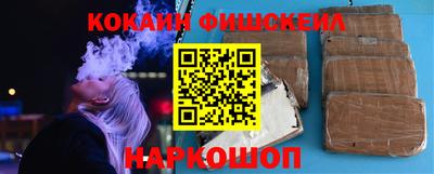 крисы Можга