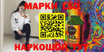 крисы Можга