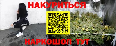 крисы Можга
