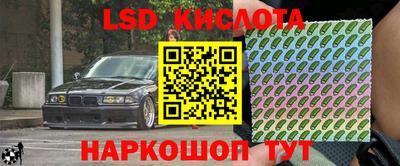 крисы Можга
