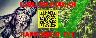 крисы Можга